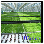 hydroponic system icon