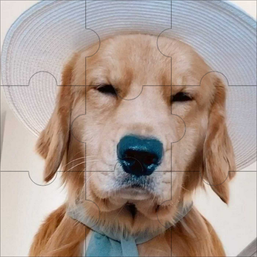 Dog Jigsaw Puzzle أيقونة