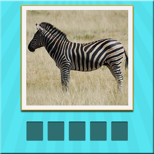 Animals Quiz - guess and learn icon