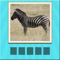 Animals Quiz - guess and learn