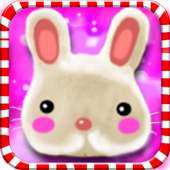 Candy Rabbit