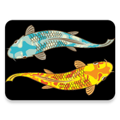 2 Fishs Racing icon