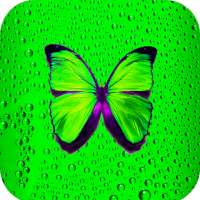 Green Wallpaper HD on 9Apps