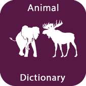 Anim Dictionary