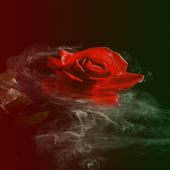 Smoky Rose Live Wallpaper icon