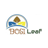 Bosi Leaf icon