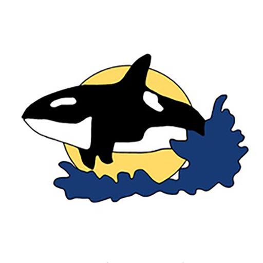 Big Fish Android games. icon