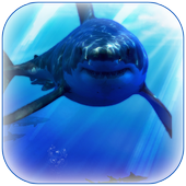 Shark Wallpaper icon