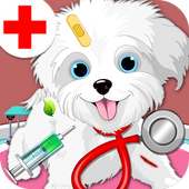 Pet Vet Emergency Doctor