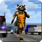 Raccoon Traffic Racer