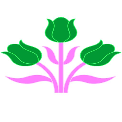 Gallery Image and Color icon