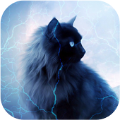 أزرق العينين القط أيقونة