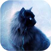 أزرق العينين القط on 9Apps