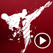 Karate Techniques Videos icon