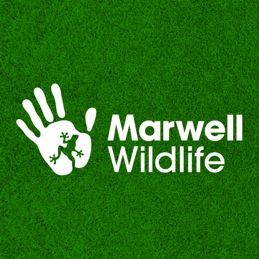 Marwell Zoo icon