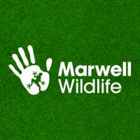 Marwell Zoo on 9Apps