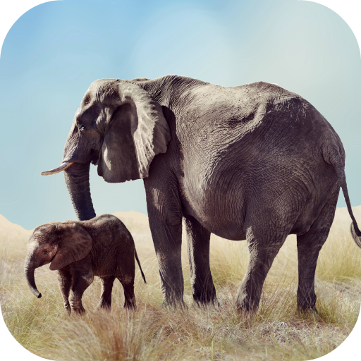 Elephant Sounds icon