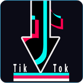 Auto Video downloader TikTOK VD - INSTAVD INC icon