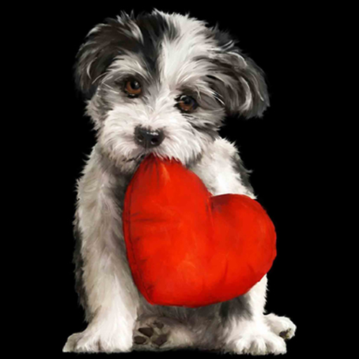 Valentine's Day Wallpaper HD  icon