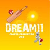 DREAM11 TEAM EXPERT PREDICTION PRO icon