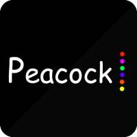 Guide for Peacock TV