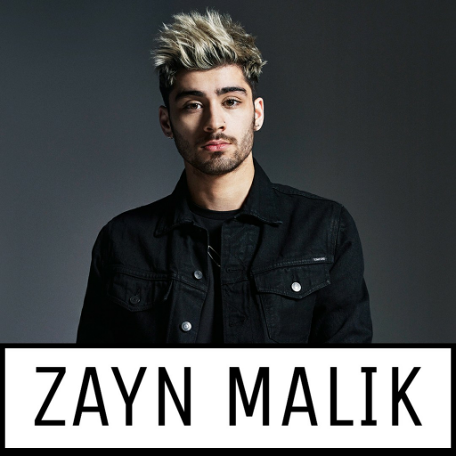 Zayn Malik All Song Offline icon