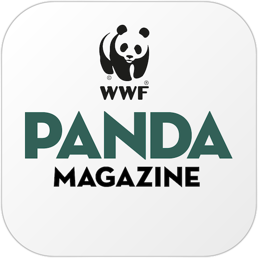 Panda Magazine icon