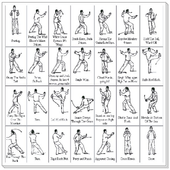 Learn Tai Chi icon