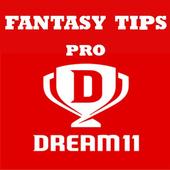 Fantasy Cricket - Dream 11 Tips icon
