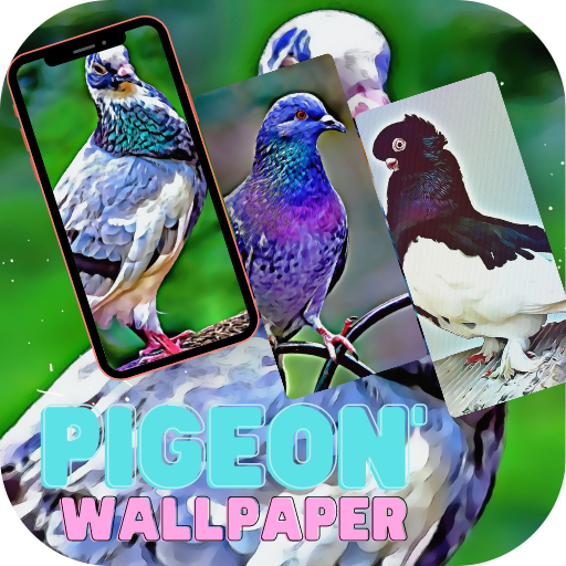 Birds Pigeon Wallpaper Beauty icon