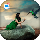 Live Birds Photo Editor : Cinamagraph Animation icon
