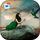 Live Birds Photo Editor : Cinamagraph Animation on 9Apps