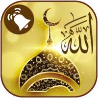 أفضل الرنات الإسلامية on 9Apps