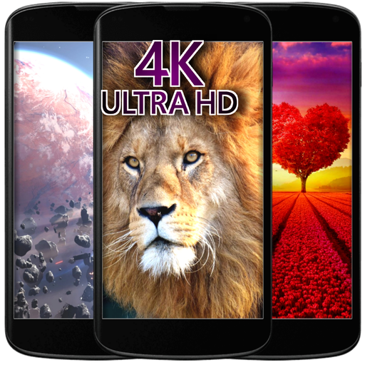 Wallpaper AK 2019 icon