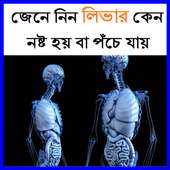 জেনে নিন লিভার কেন নষ্ট হয় বা পঁচে যায়