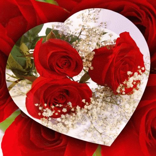 Flowers GIF Images 2021 icon