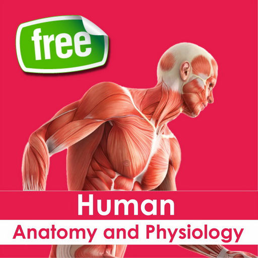 Human Anatomy and Physiology icon