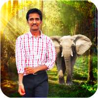 Forest photo editor - forest photo frames on 9Apps