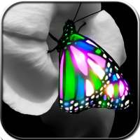 Butterfly Wallpaper on 9Apps