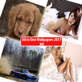 Sexy Wallpapers (All in one) icon