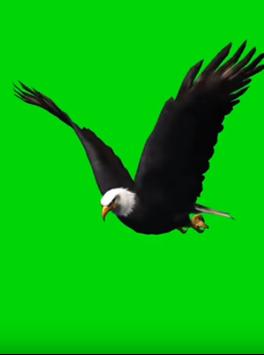 Magic Green Screen Effects Video Creator 2020 screenshot 2