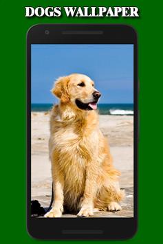 Dogs Wallpaper screenshot 3