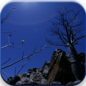 Night Sky Video Live Wallpaper icon