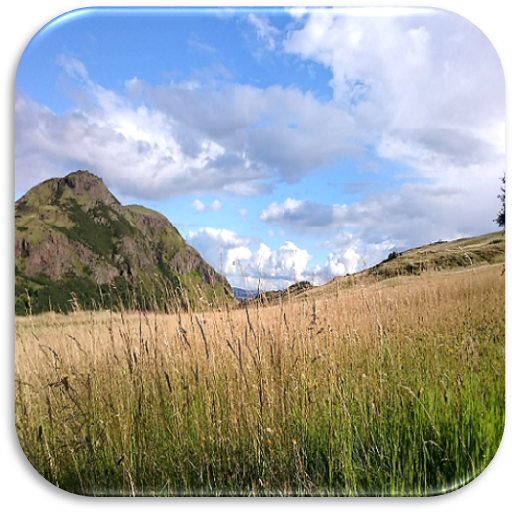 Relax Meditation &amp; Chill Music icon