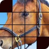 horse puzzles game