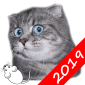 Mouse for the cat. Cat Games icon