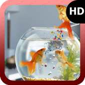 Goldfish Wallpaper on 9Apps