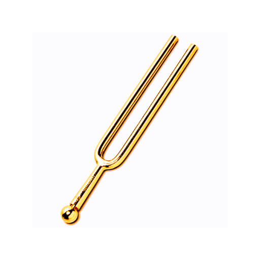 Play in Tune: Tuner Trainer icon