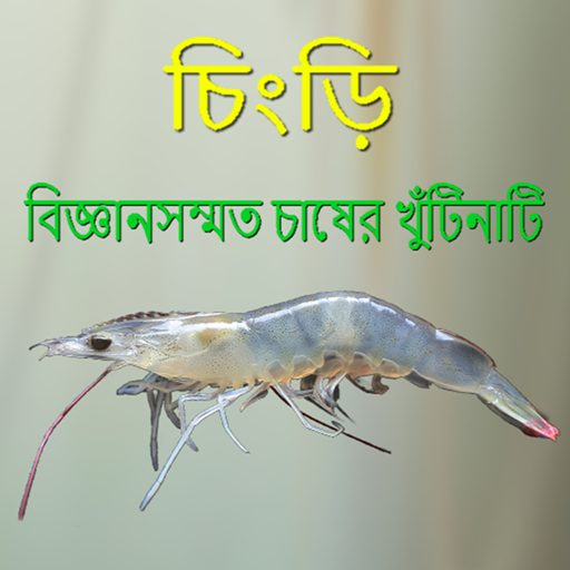 Chingri - চিংড়ি  - বিজ্ঞান সম্মত  চাষের খুঁটিনাটি icon