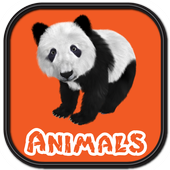 Animals &amp; Animal Sounds (Free) icon